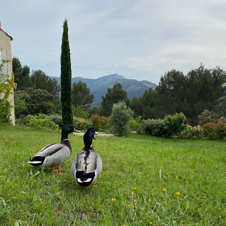 La Maison Perchée Auriol Esterno foto