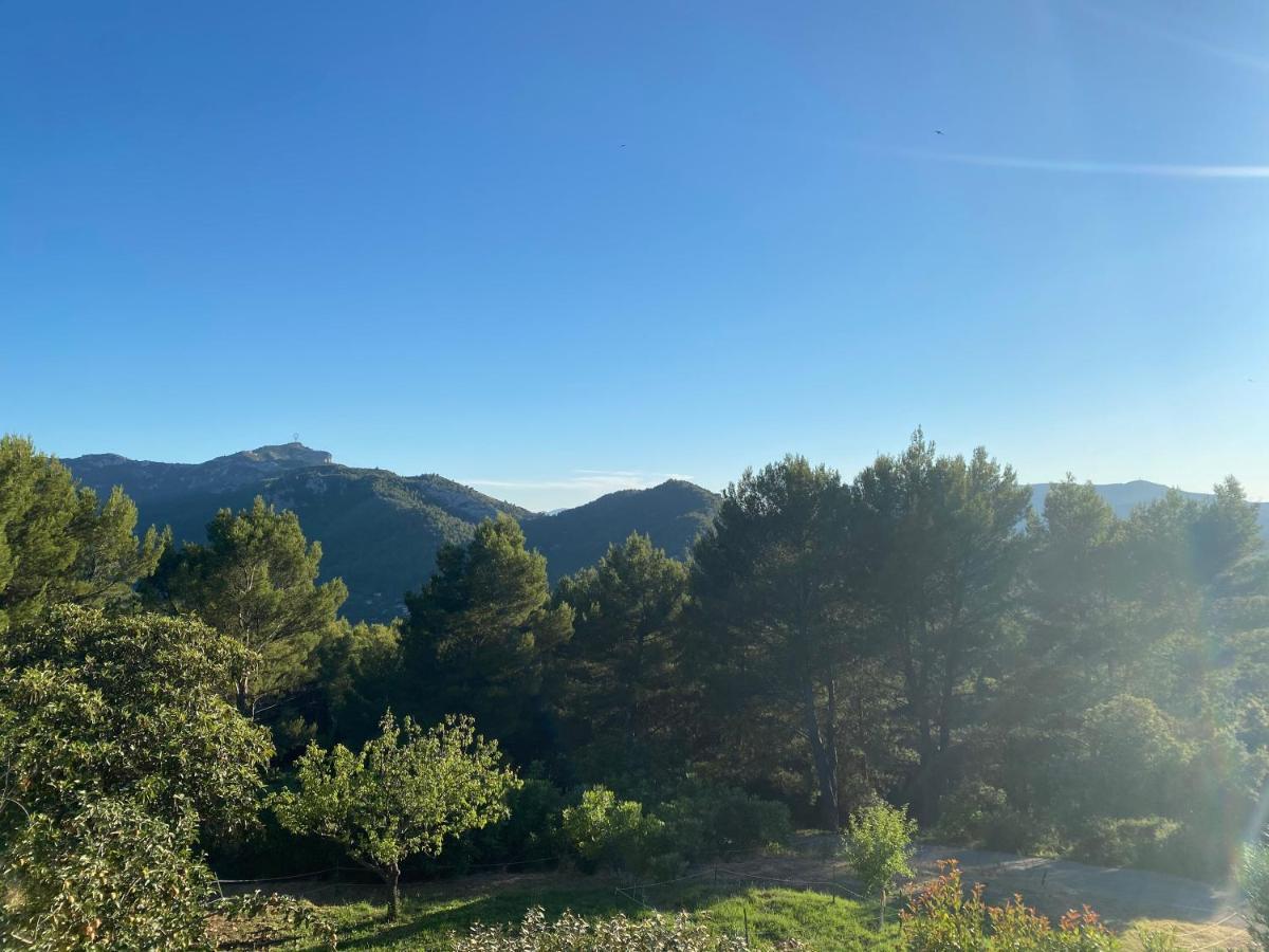 La Maison Perchée Auriol Esterno foto